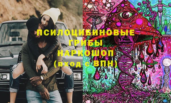 прущая мука Богородицк