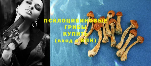 прущая мука Богородицк