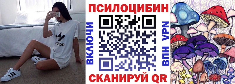 Галлюциногенные грибы прущие грибы  даркнет сайт  Будённовск 